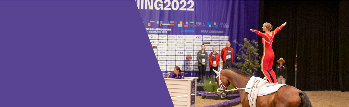 Drakter for voltigering